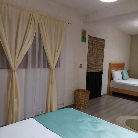 Oaxaca Alojamiento El Nixtamal מראה חיצוני תמונה